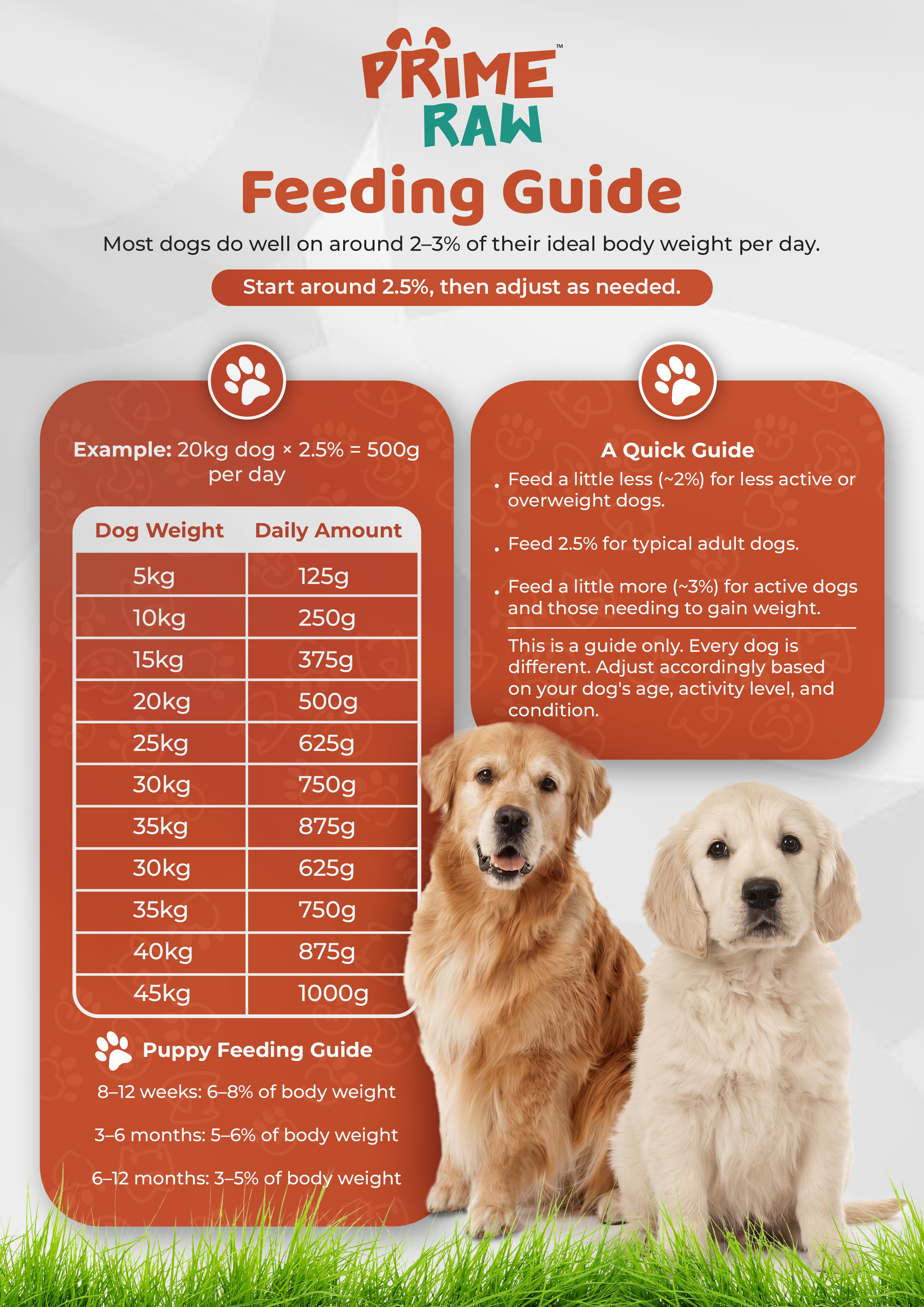 Coloured Feeding Guide Preview